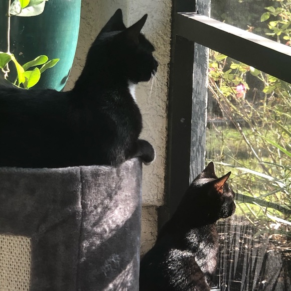 Meet the Posher...Pam - Picture 7 of 16